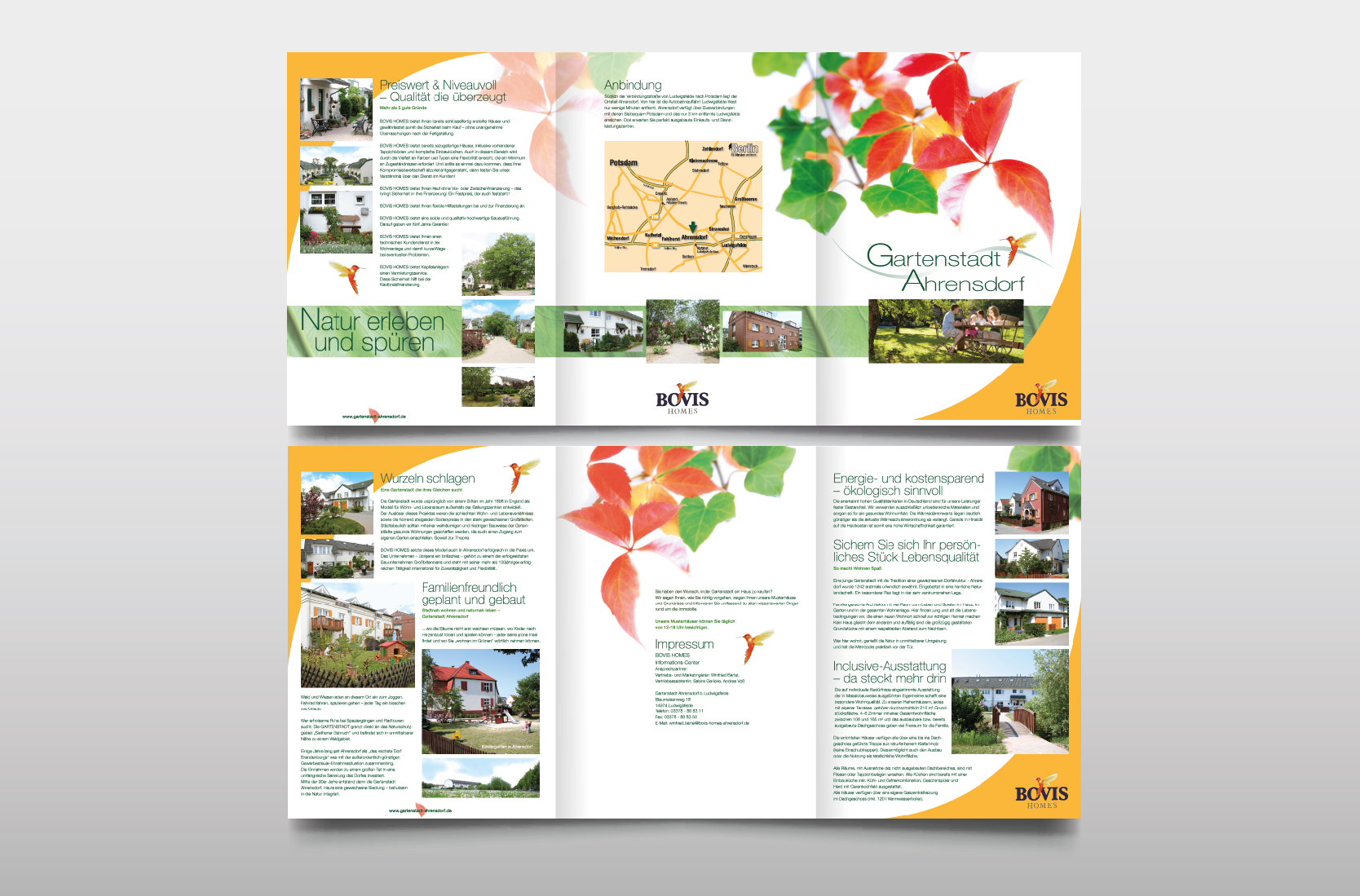 Broschure Gestalten Mappen Entwerfen Layout Entwickeln